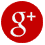 Google plus icon